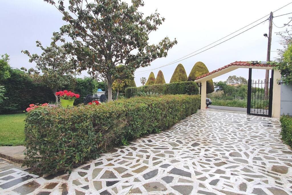 Vacation Studio Oropos Nea Palatia Bagian luar foto